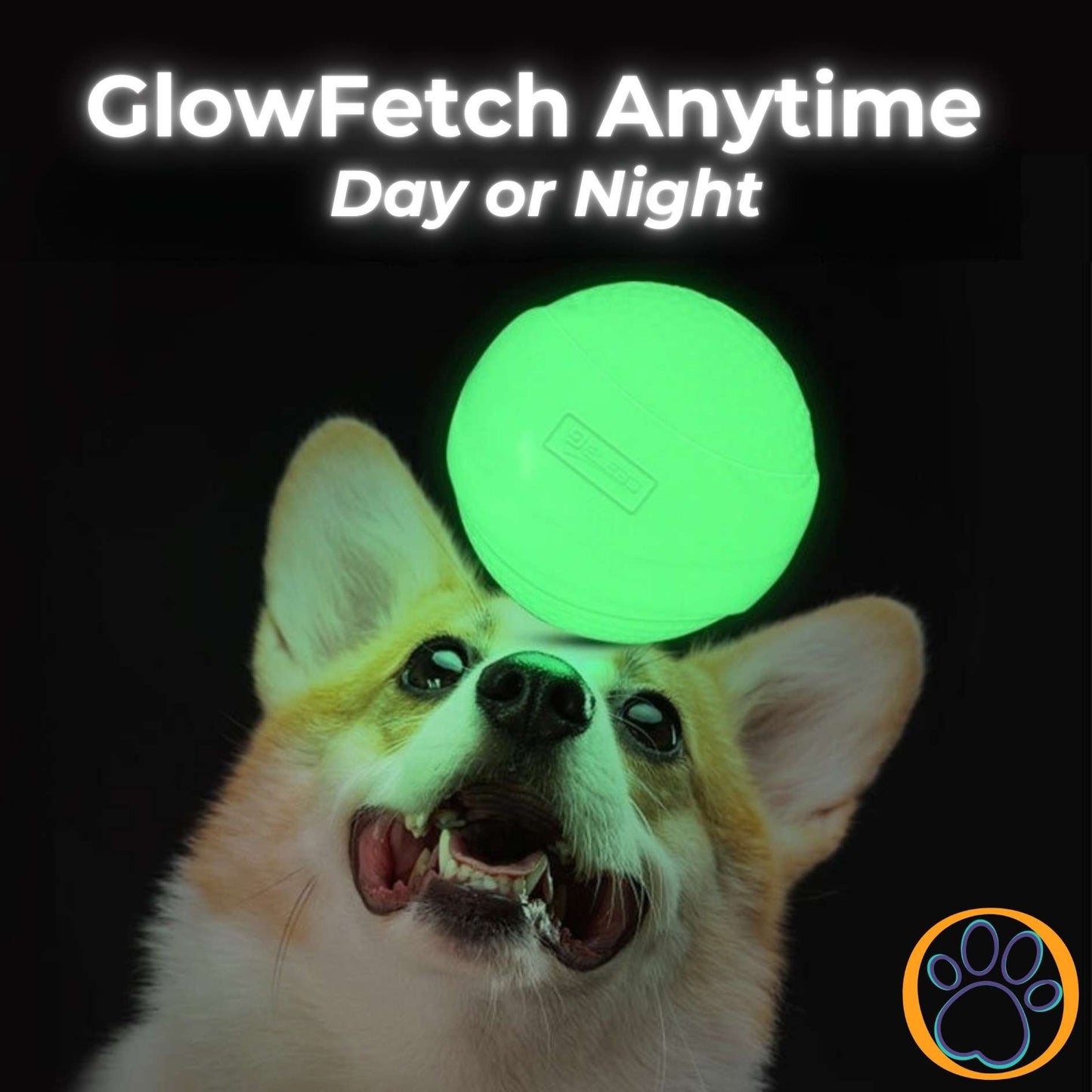GlowFetch Bouncy Ball