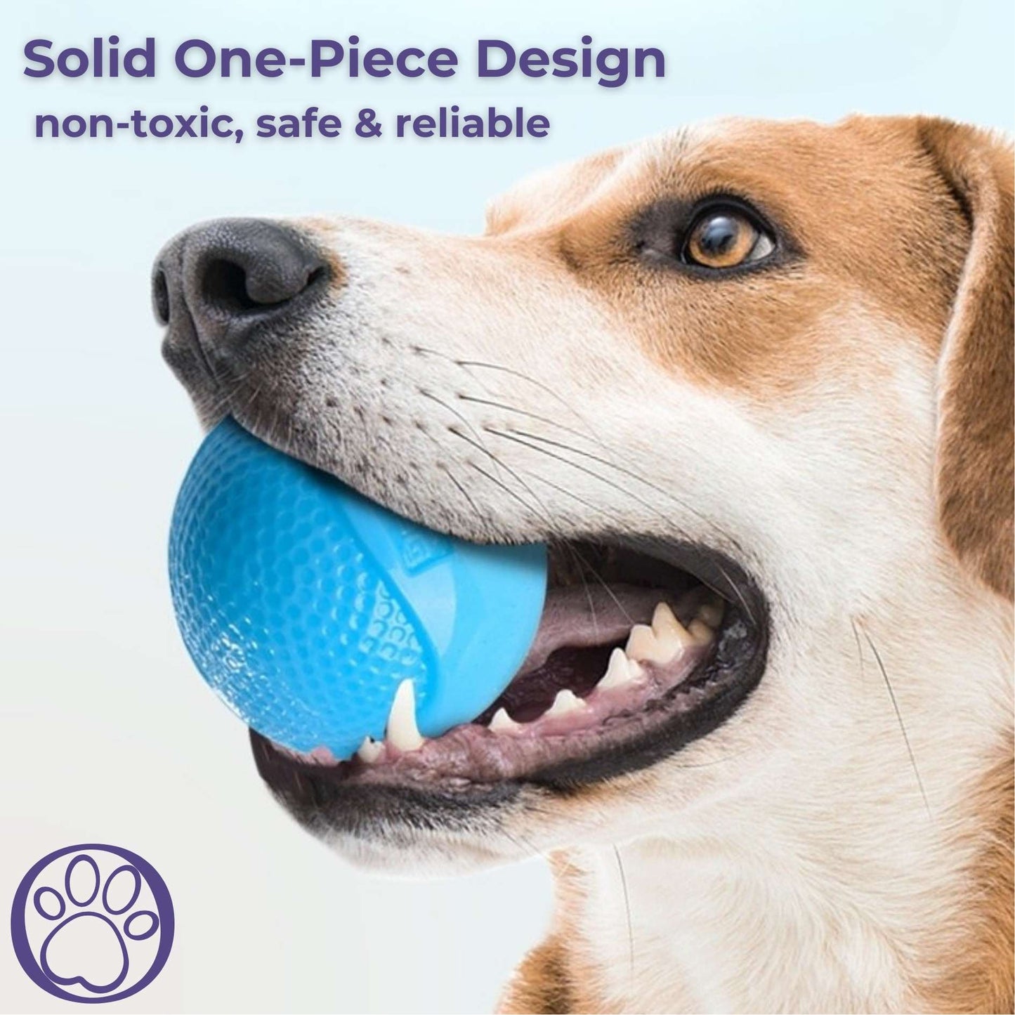 GlowFetch Bouncy Ball