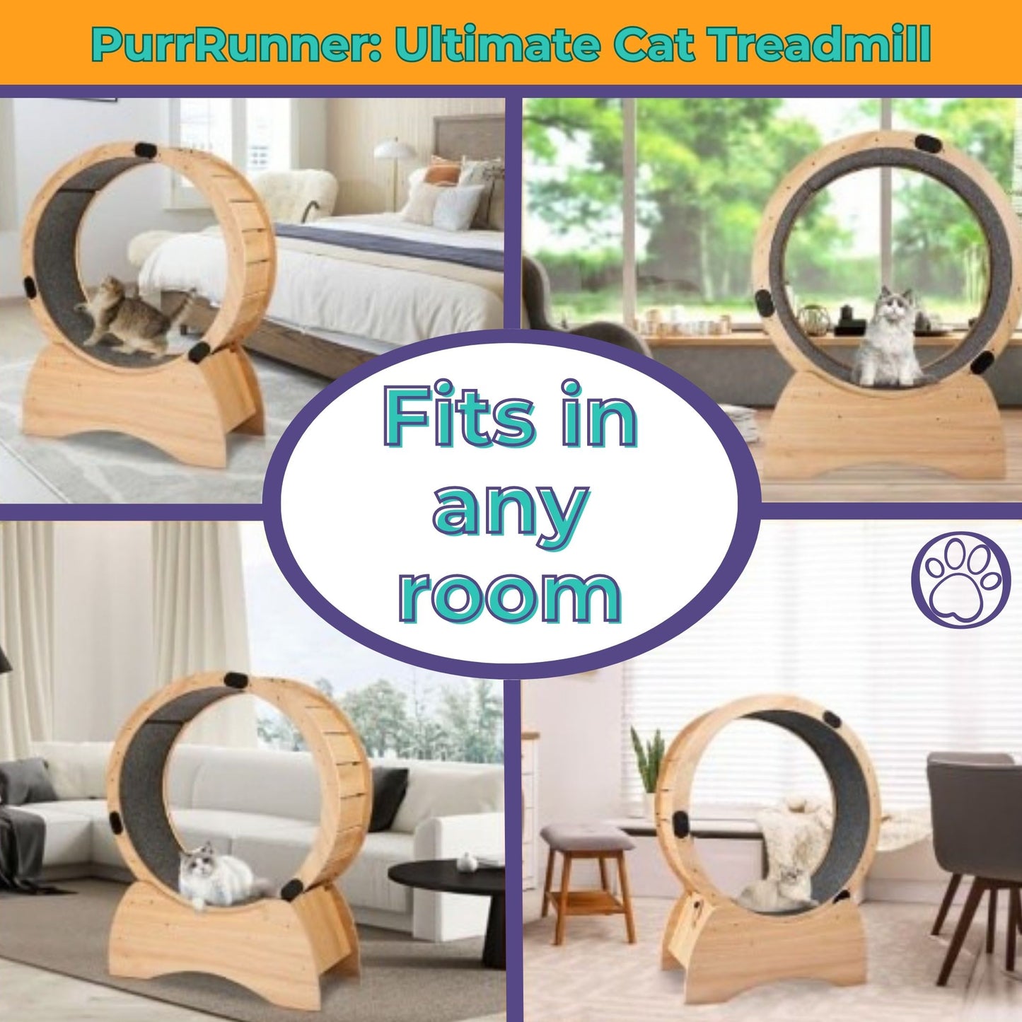 PurrRunner: The Ultimate Cat Treadmill for Feline Fitness!