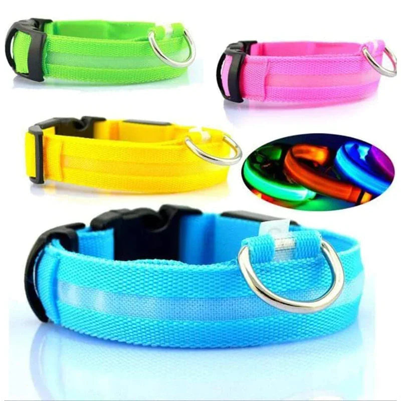 GlowPup LED Safety Collar