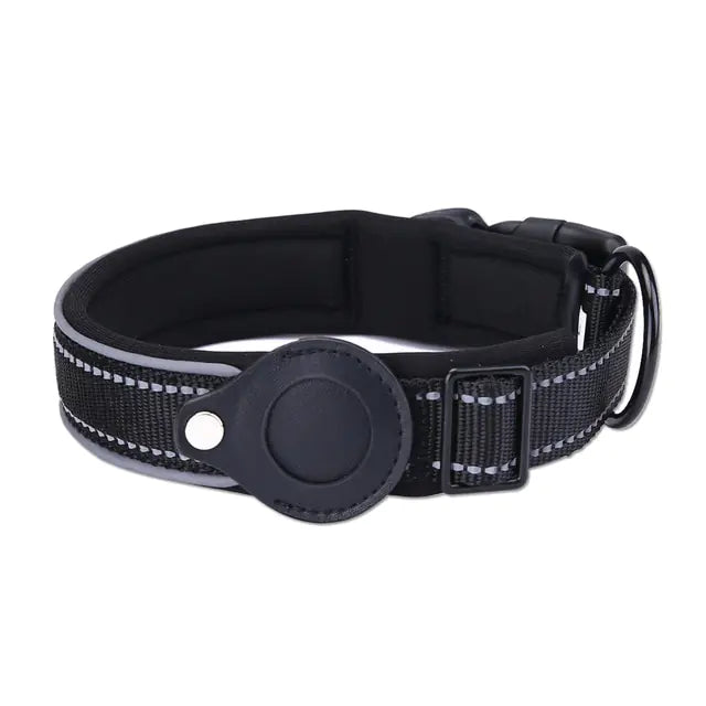 Everyday Dog Tag Collar