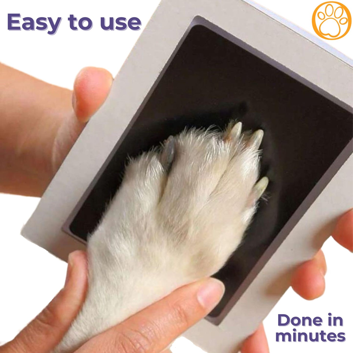 Pawfect Memories Ink Pad