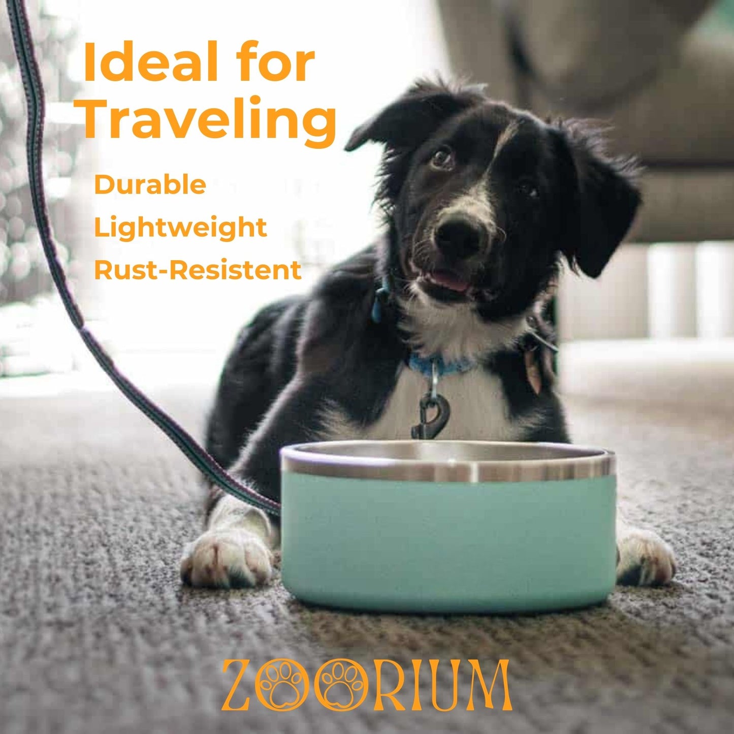 Stainless Dog Bowl