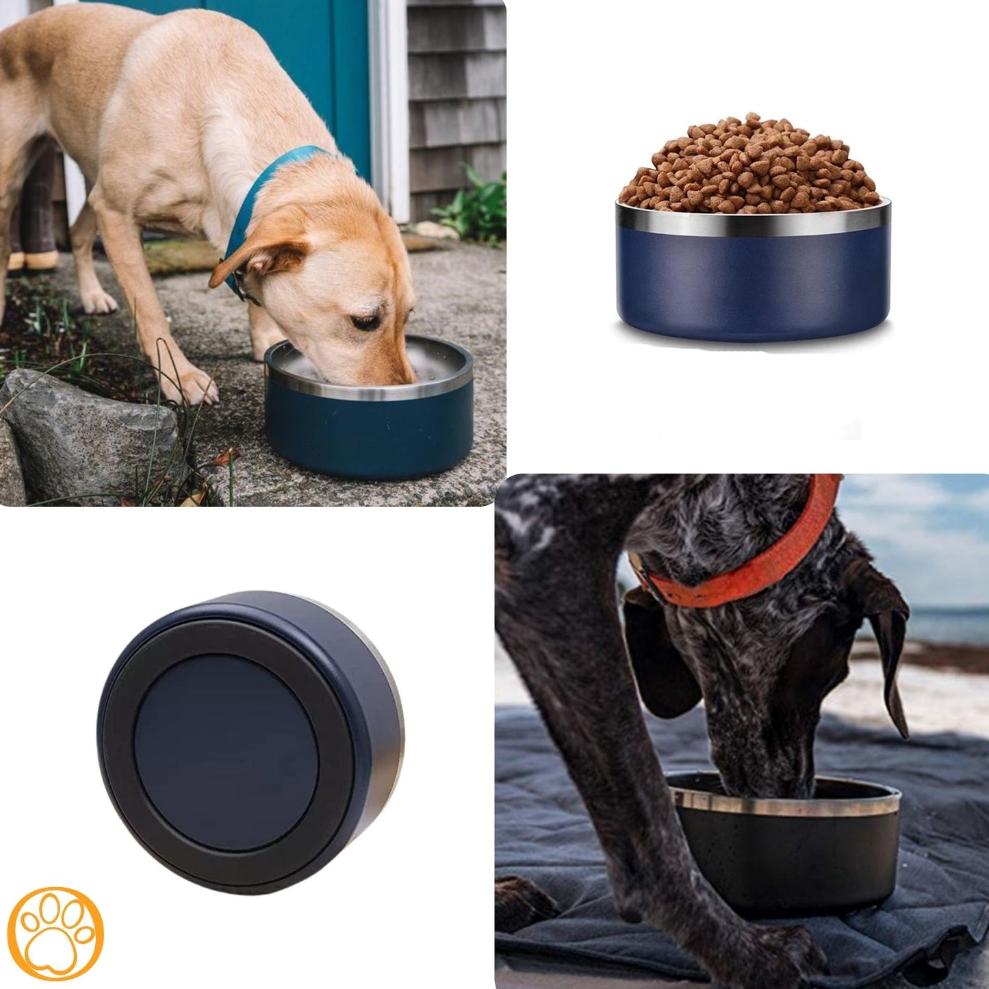 Stainless Dog Bowl