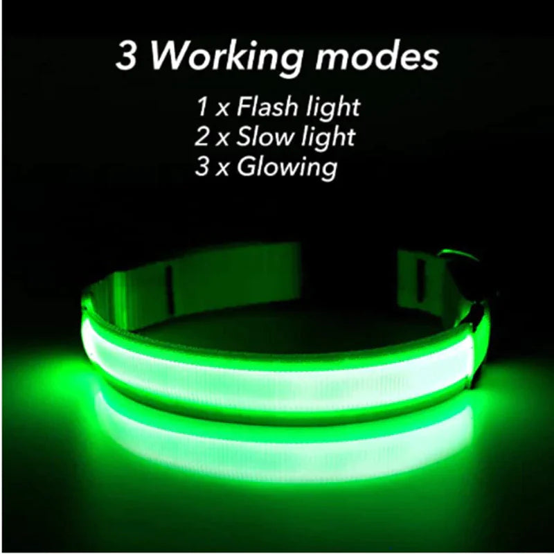 GlowPup LED Safety Collar