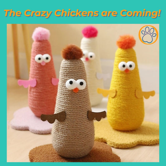 Cluck ‘n’ Scratch Cat Scratcher