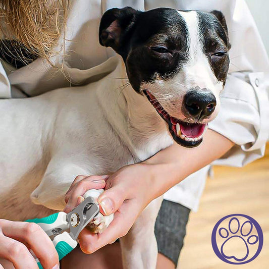 Pet Nail Clippers