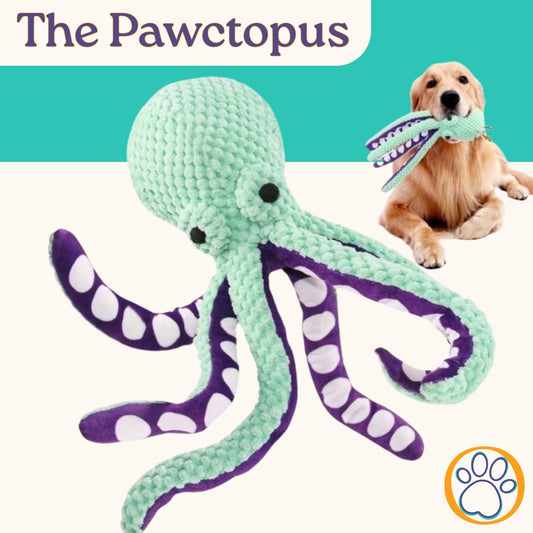 The Pawctopus