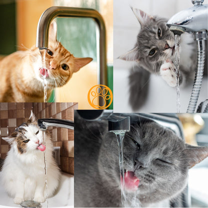 HydroPurr