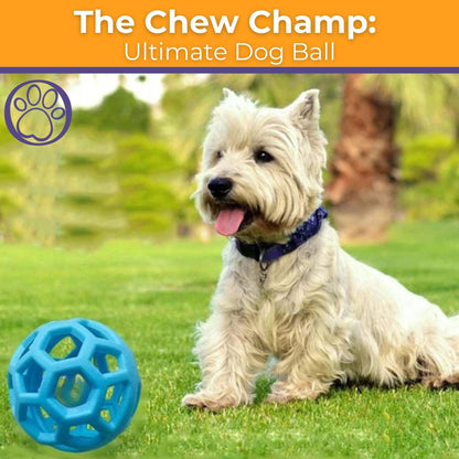 The Chew Champ: Ultimate Dog Ball
