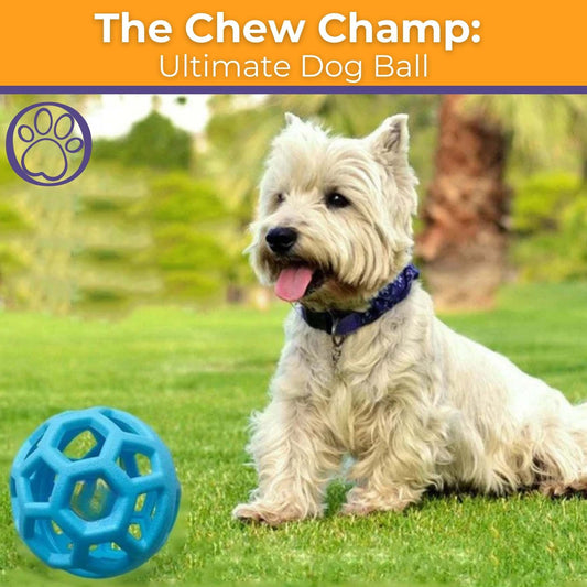 The Chew Champ: Ultimate Dog Ball