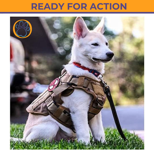 🪖 K9 COMMANDER: TACTICAL NO-PULL QUICK RELEASE HARNESS 🐾🎖️
