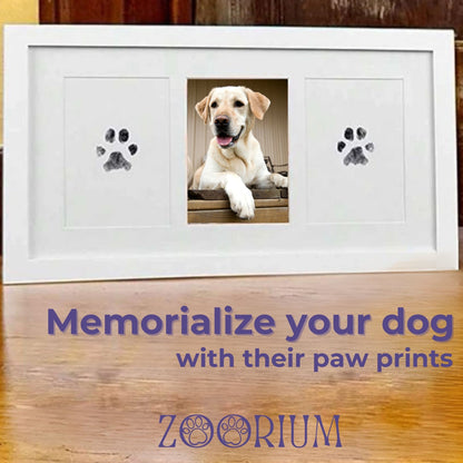 Pawfect Memories Ink Pad