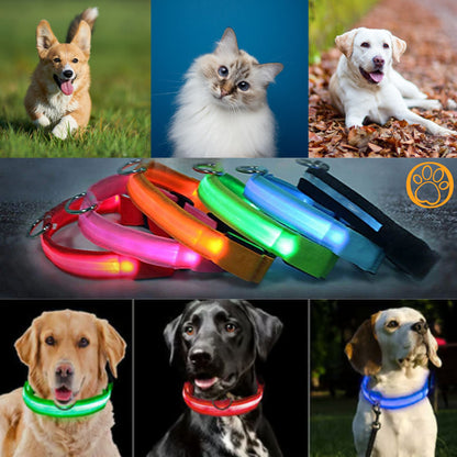 GlowPup LED Safety Collar