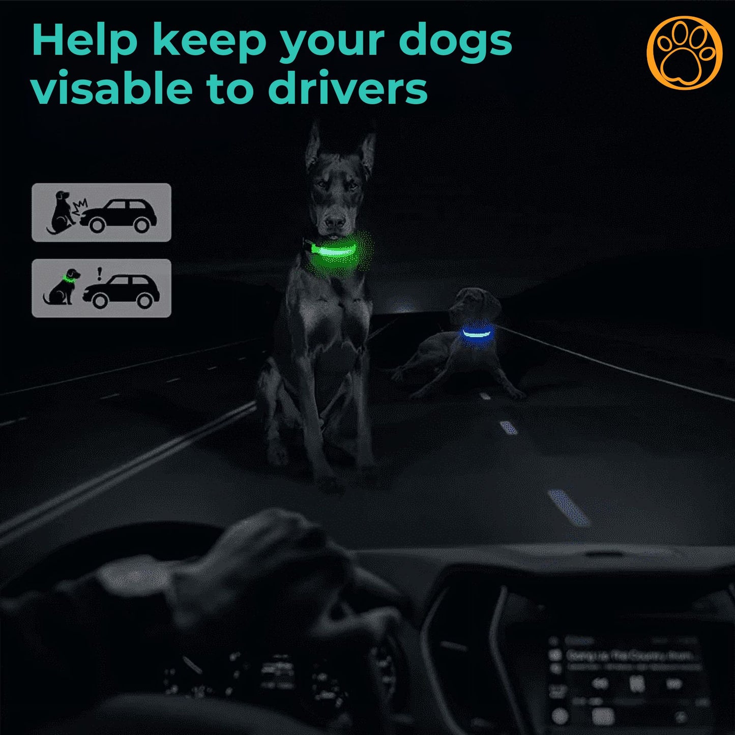 GlowPup LED Safety Collar