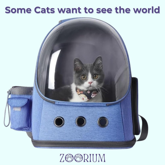 PawPortal Pet Carrier