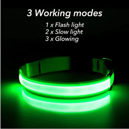 GlowPup LED Safety Collar
