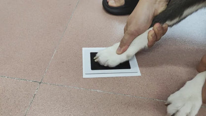 Pawfect Memories Ink Pad